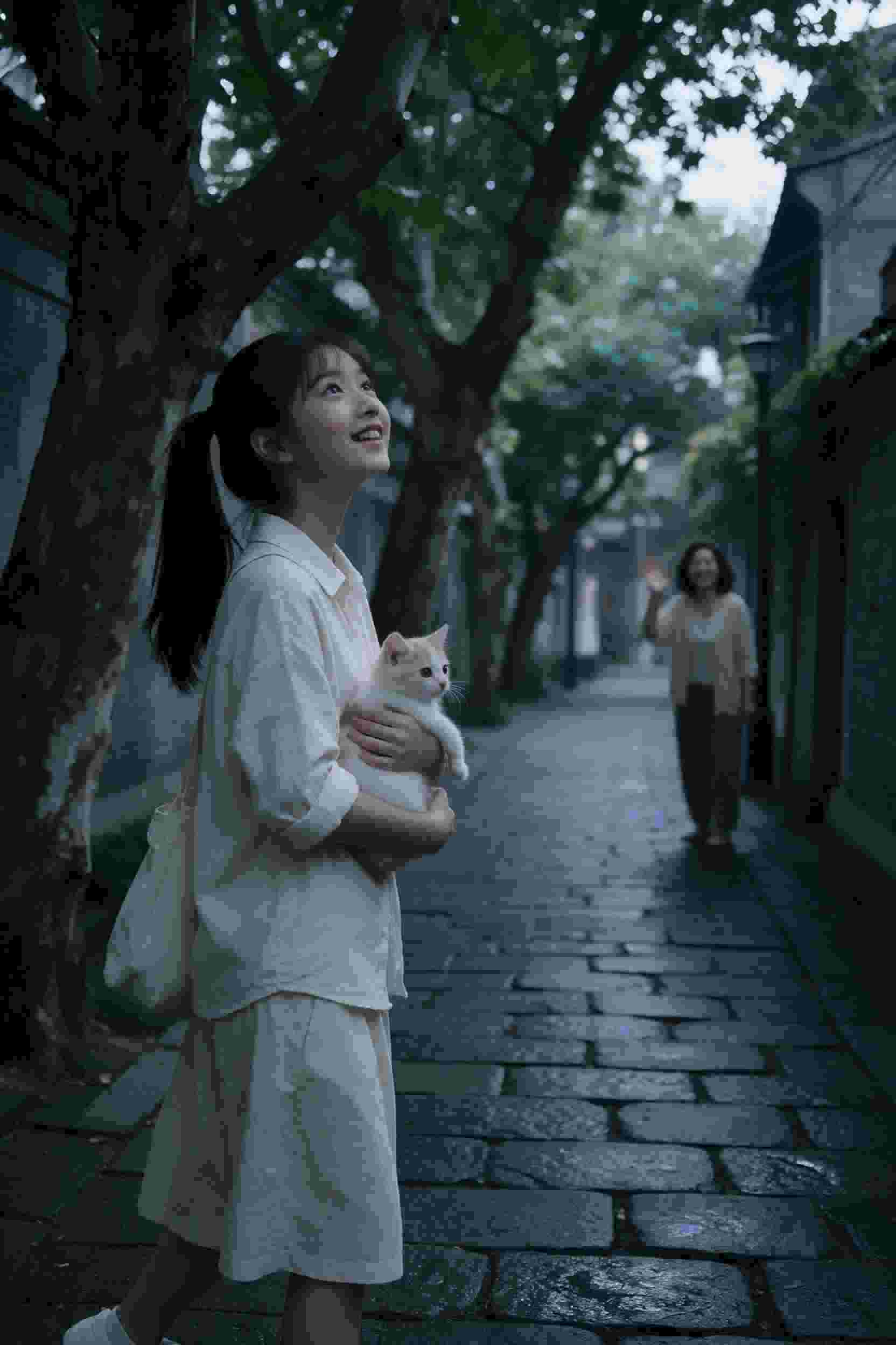 绝代芳华